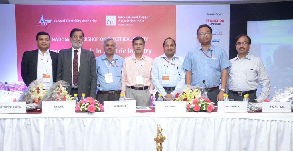 ICA India conducts national workshop on electrical safety