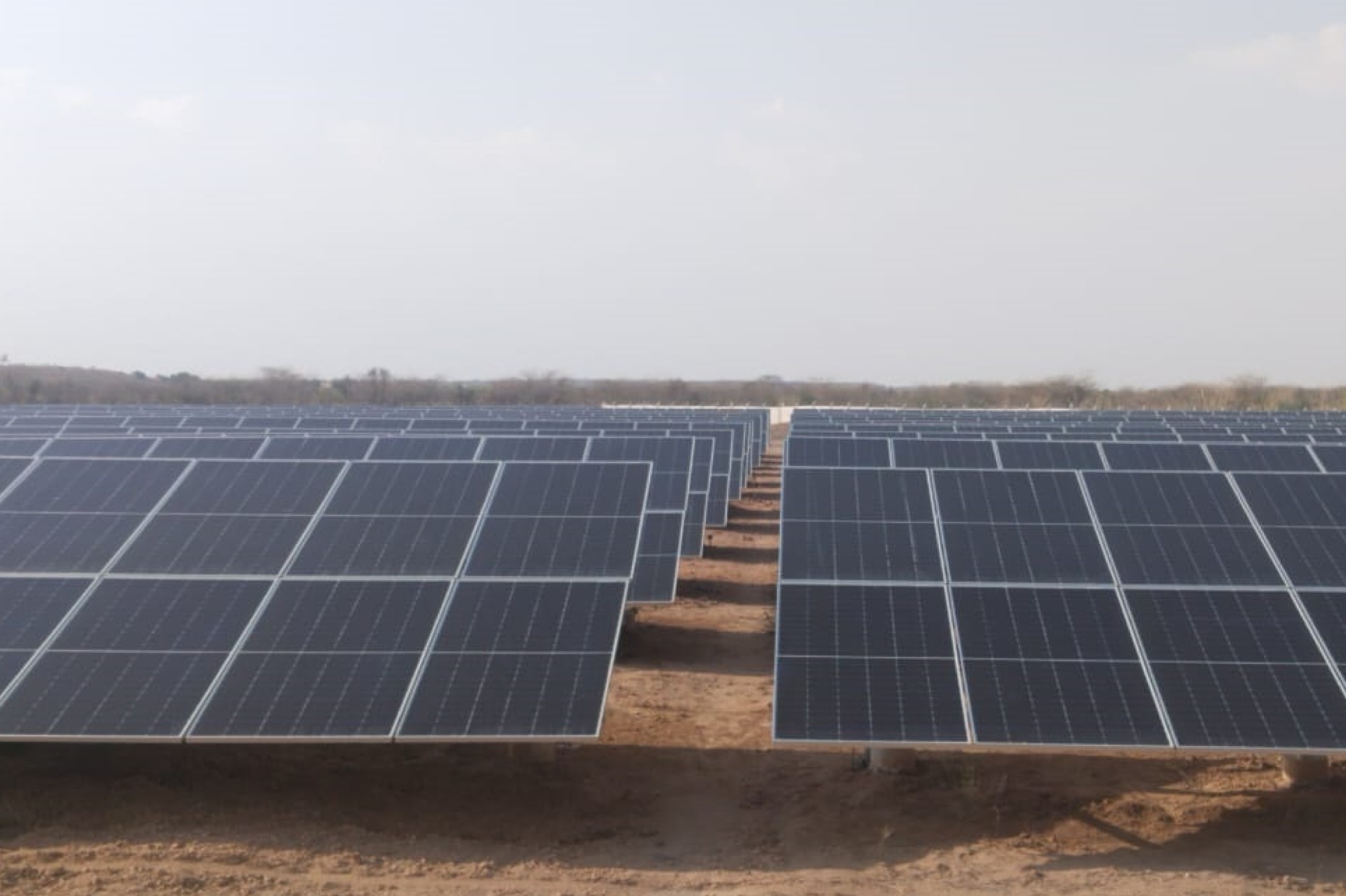 Siegwerk inaugurates state-of-the-art solar power park in Jaisalmer