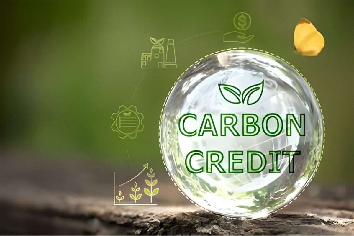 Carbon credit sees a promising future