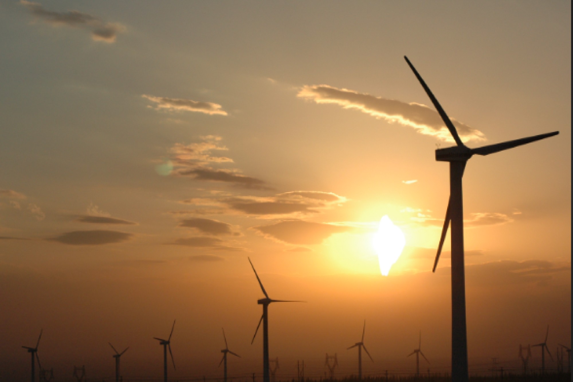 GAIL and RRVUNL partners for setting up around 1,000 MW of solar and wind projects in Rajasthan