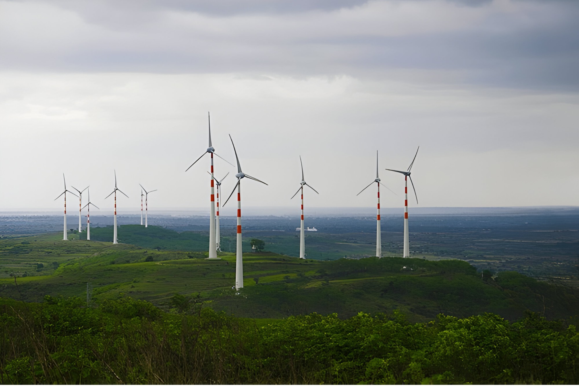 Maharashtra and Gujarat excel in renewable energy capacity