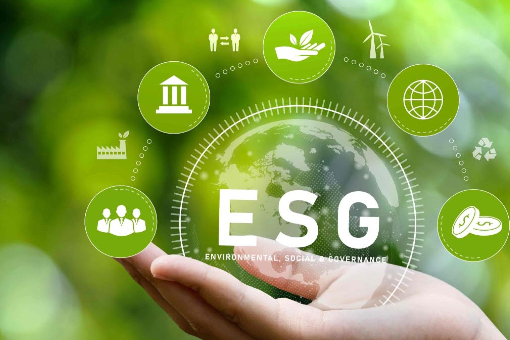 EcoRatings now to provide ESG ratings to financial securities