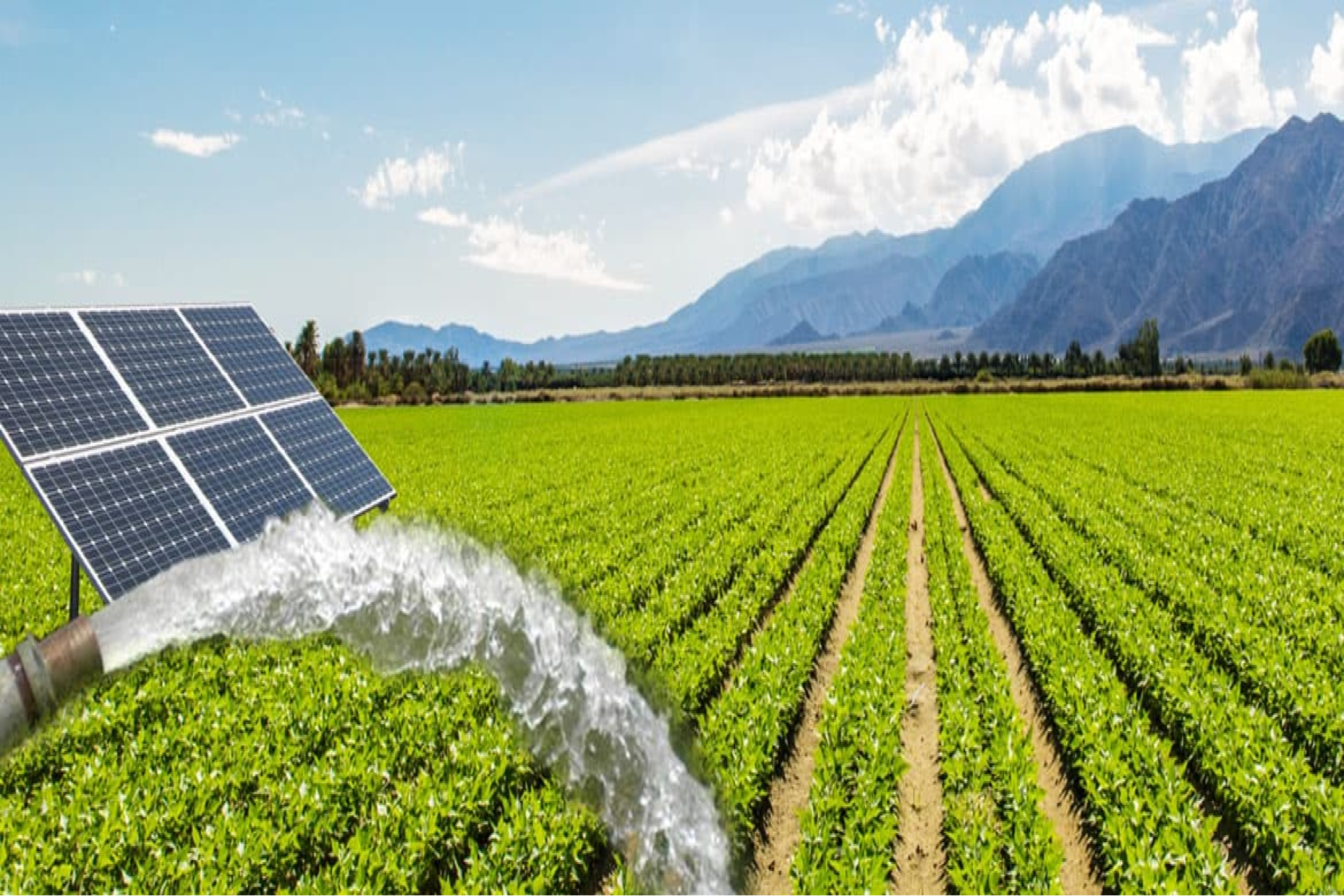 Servotech secures ₹31 cr project for solar agriculture pumps in UP