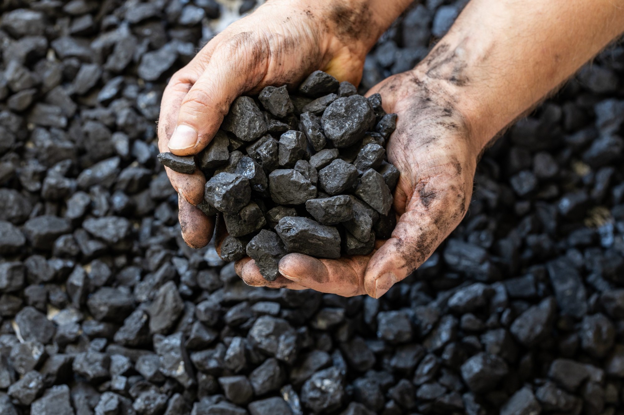 Coal production records 5.33 pc growth in December