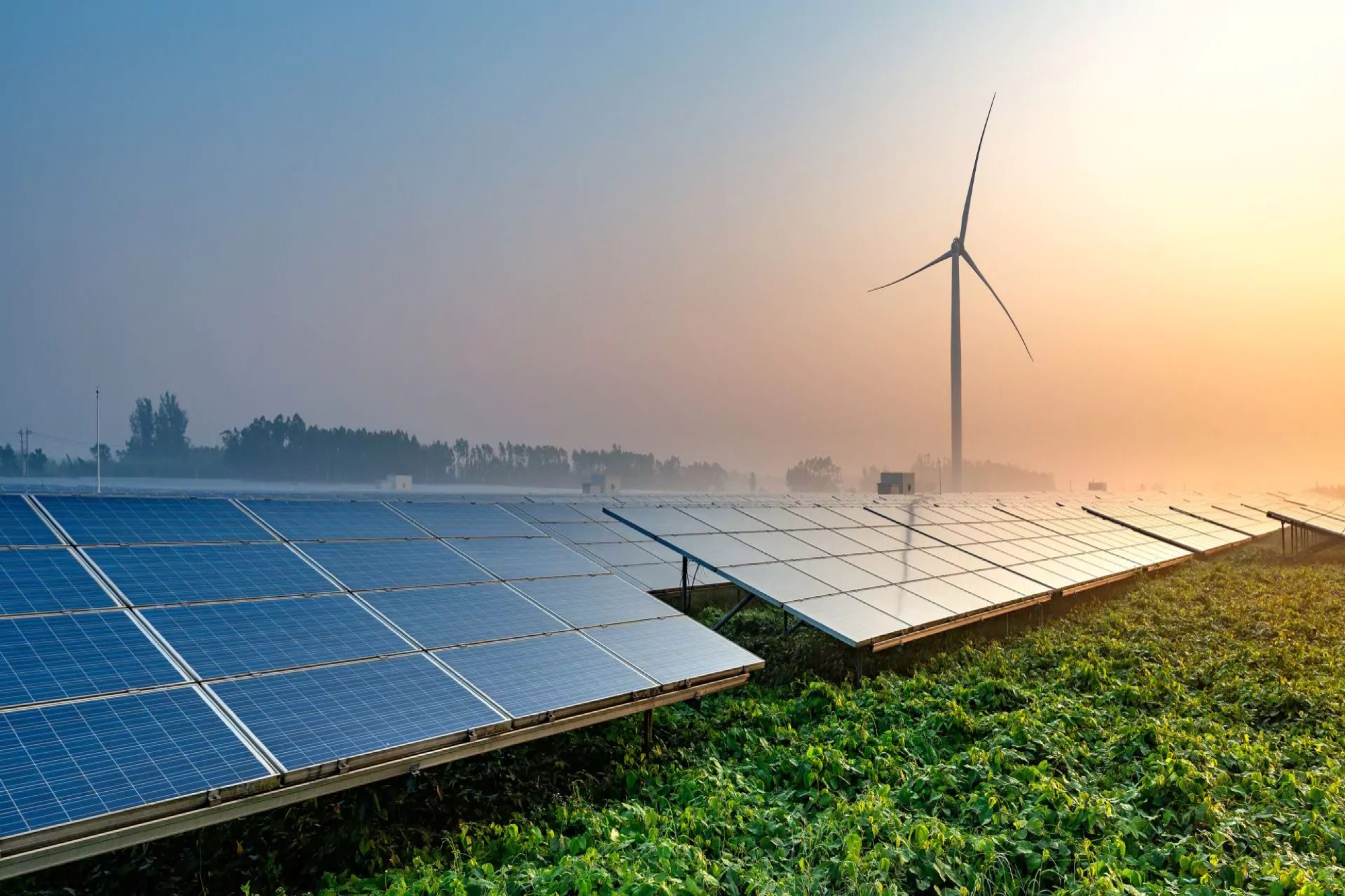 India’s total renewable energy installed capacity reaches 209.44 GW by Dec 2024